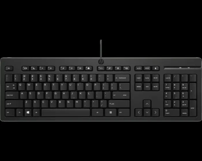 TECLADO HP 125 ALAMBRICO NEGRO